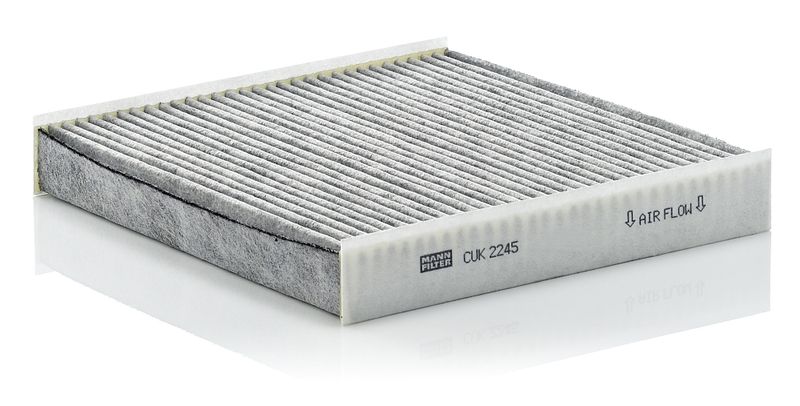 Filter, cabin air PSA Berlingo/Partner 02-