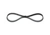 Timing Belt -