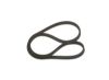 V-Ribbed Belt -