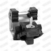 Mount, exhaust system -