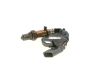 Oxygen Sensor -