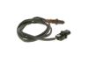 Oxygen Sensor BMW