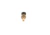 Sensor, coolant temperature GENERAL MOTORS - 1338511