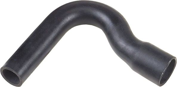 Radiator Hose -