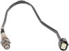 Oxygen Sensor -