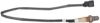 Oxygen Sensor -