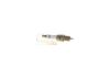 Spark Plug -