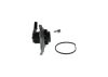 Water Pump & Timing Belt Kit -