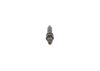Nozzle and Holder Assembly -