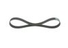 V-Ribbed Belt -