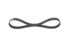 V-Ribbed Belt -