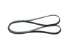 V-Ribbed Belt -