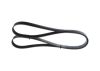 V-Ribbed Belt -