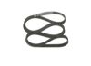 V-Ribbed Belt -