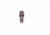 Nozzle and Holder Assembly MAN 51 10100 7450