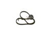 Timing Belt Kit -