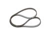 Timing Belt -