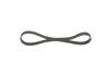 V-Ribbed Belt -