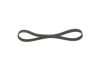V-Ribbed Belt -