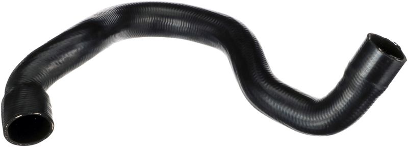 Radiator Hose - Radiator Hose -