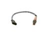 Oxygen Sensor -