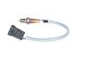 Oxygen Sensor -