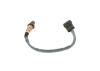 Oxygen Sensor -