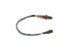 Oxygen Sensor -