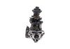 lnjection Pump -