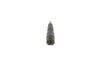 Nozzle and Holder Assembly -