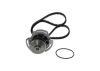 Water Pump & Timing Belt Kit -