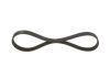 V-Ribbed Belt -