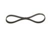 V-Ribbed Belt -