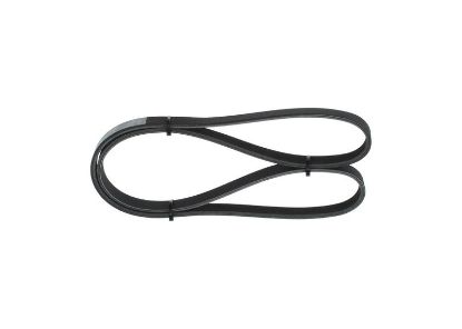 V-Ribbed Belt -