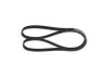 V-Ribbed Belt -