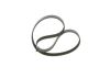 V-Ribbed Belt -