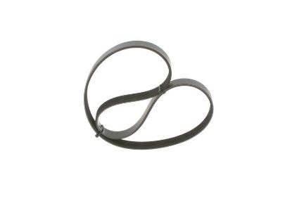 V-Ribbed Belt -