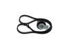 Timing Belt Kit -