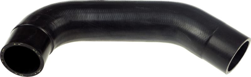 Radiator Hose -