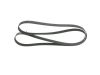 V-Ribbed Belt -