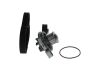 Water Pump & Timing Belt Kit -