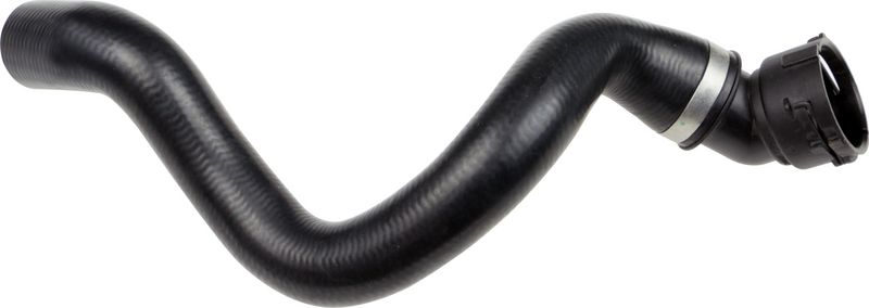 Radiator Hose -