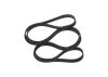 V-Ribbed Belt -