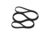 V-Ribbed Belt -