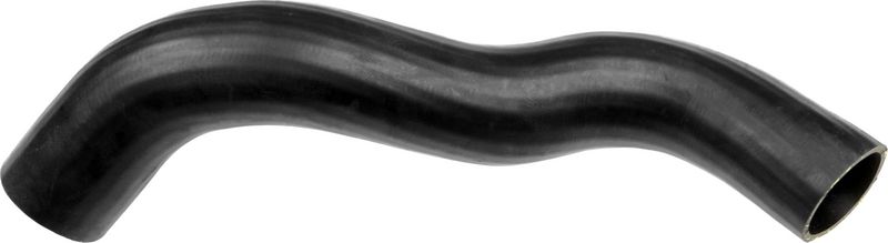 Radiator Hose -