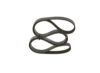 V-Ribbed Belt -