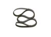 V-Ribbed Belt -