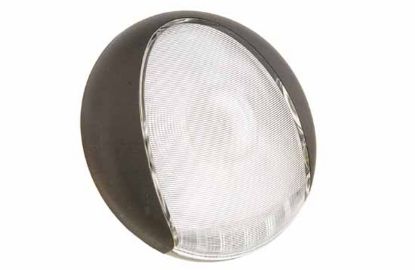 Reverse Light -