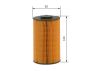 Fuel Filter -