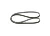 V-Ribbed Belt VAG - 06B 903 137 - 5PK1300